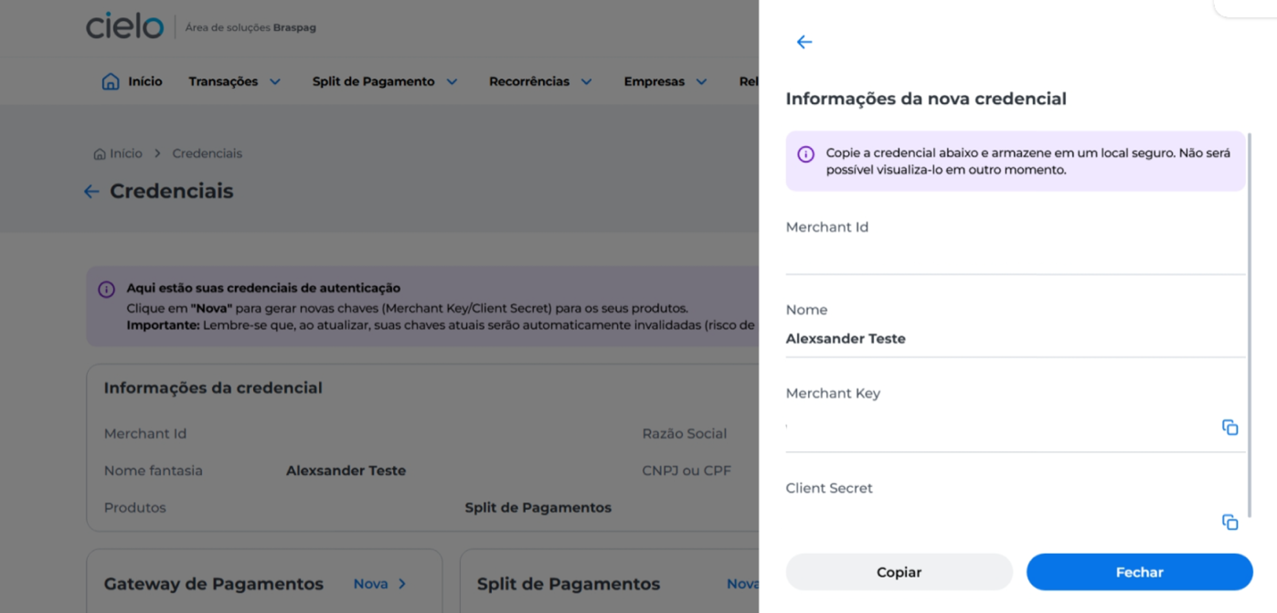 Tela exibindo as informações da nova credencial após a conclusão bem-sucedida do processo.