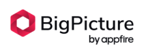 BigPicture