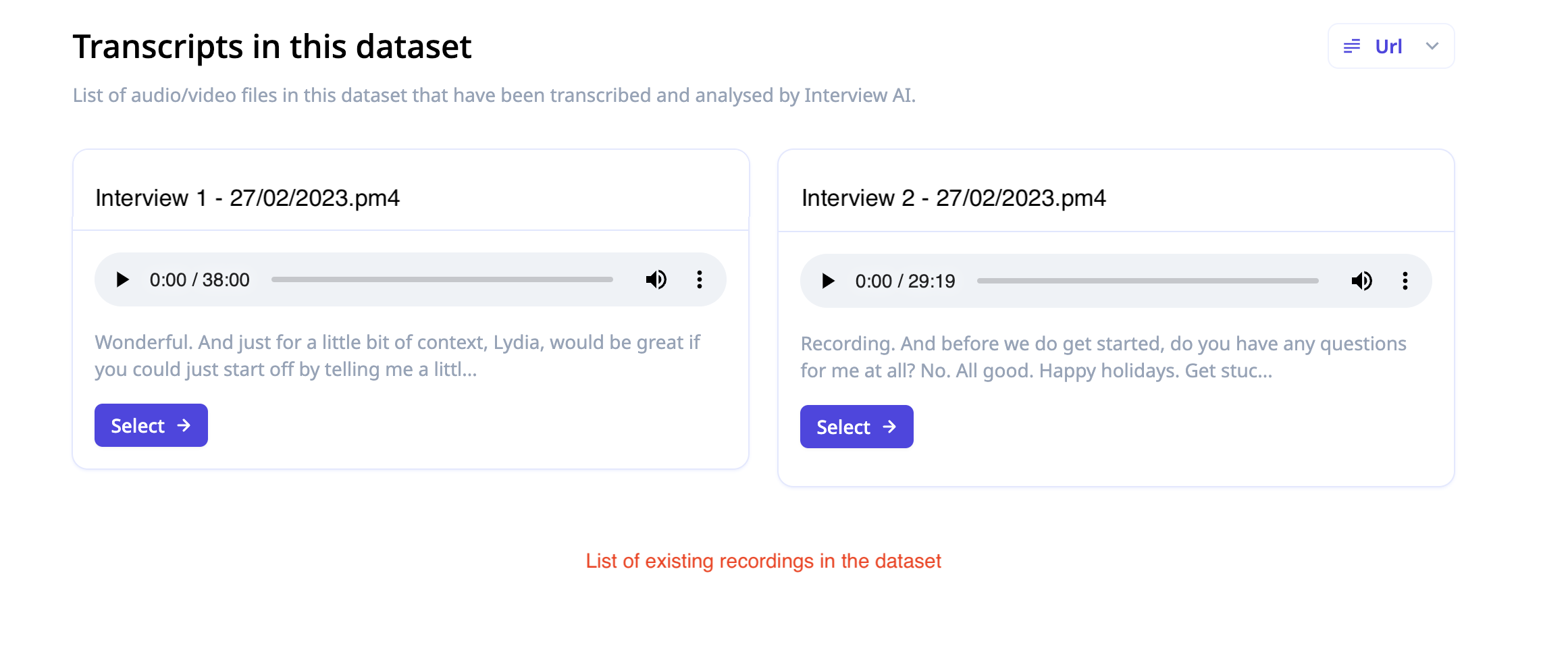 Relevance AI - Access to Interview AI analysis results for individual source files