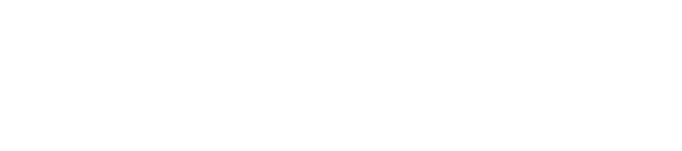 Exizent