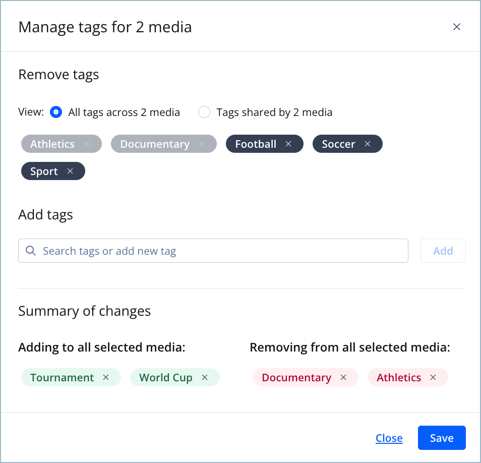 Manage tags panel