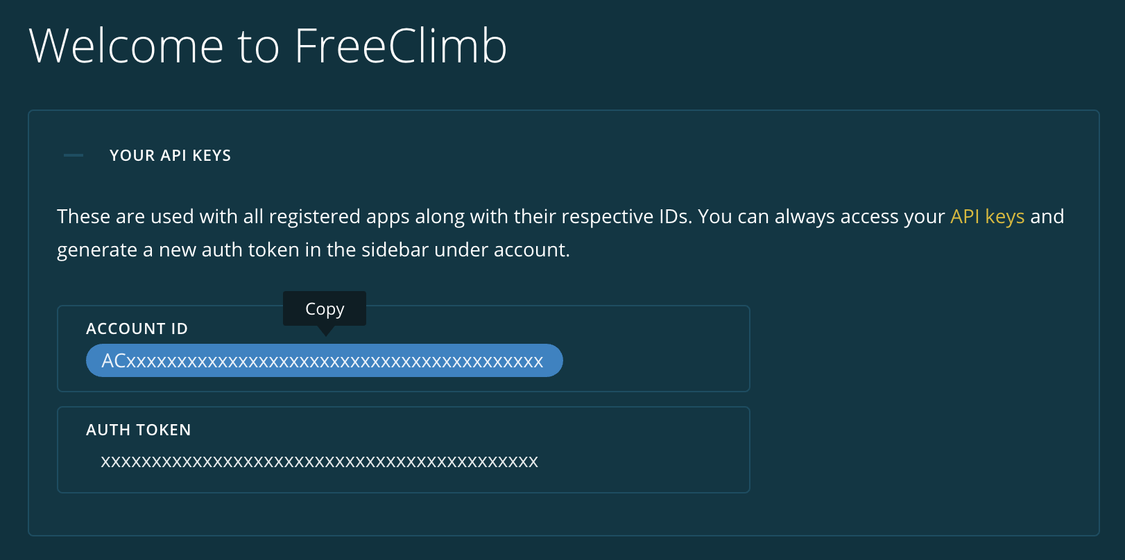copy api keys.png