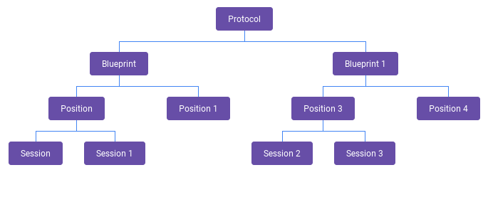 A diagram to show the hierarchy of protocols, blueprints, positions, and sessions