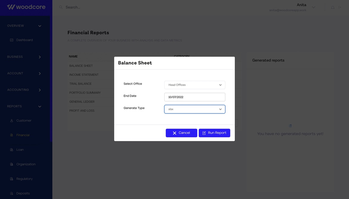 Generating Balance Sheet report
