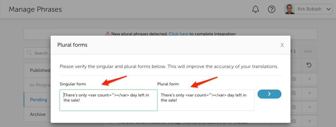 Singular-Plural dialog.png