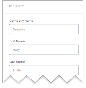 Screenshot of entering personal and company data