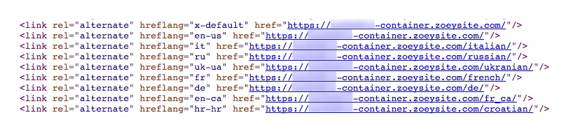 Sample Hreflang Tags in HTML Head