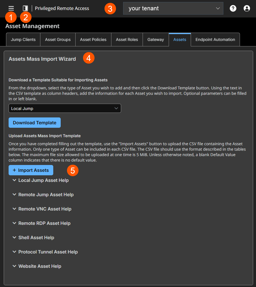 An image of the Assets Mass Import Wizard interface in a Privileged Remote Access application. The interface includes options to download a template for importing Assets and to upload a completed CSV file.