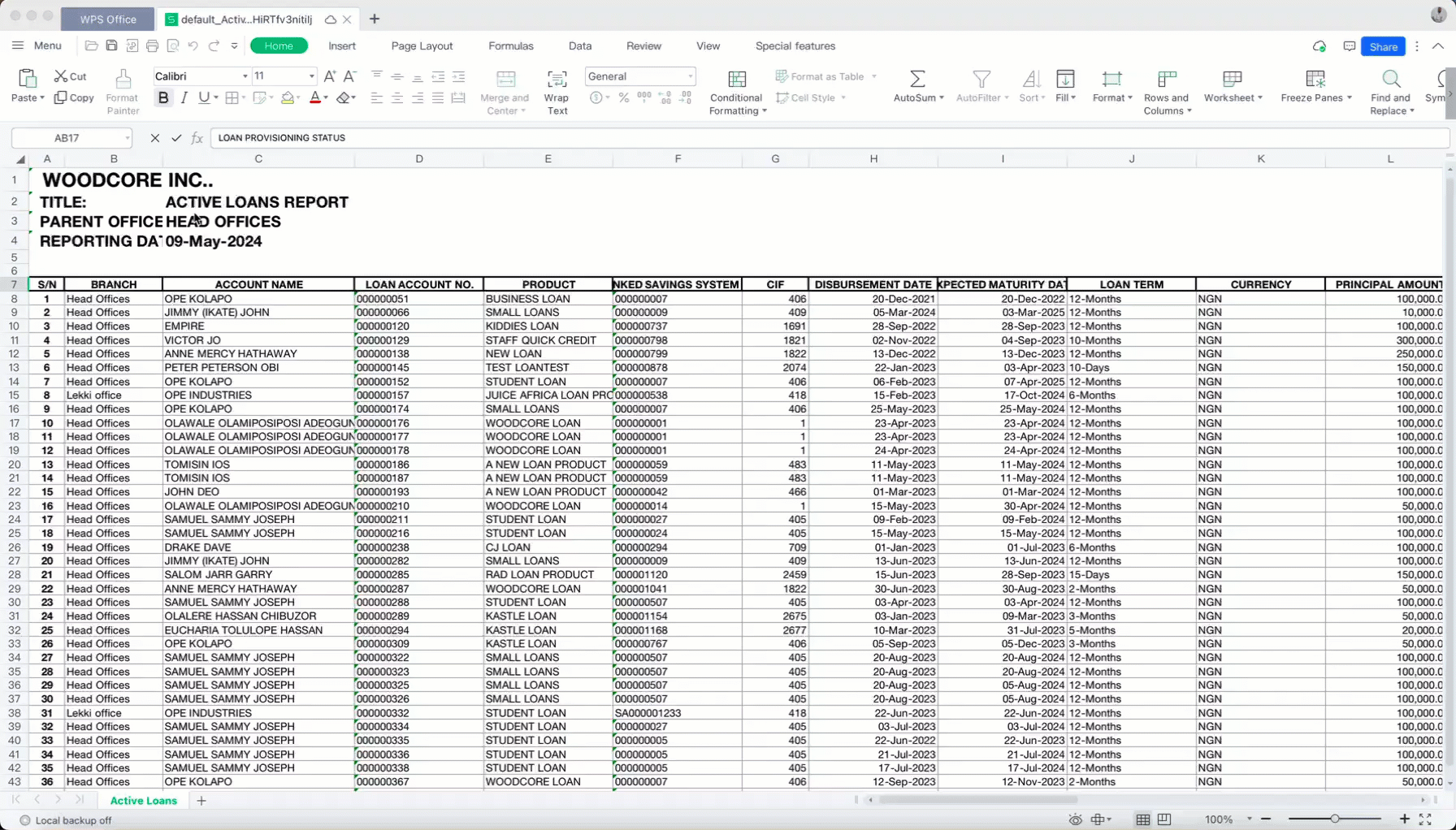 Active Loan Report