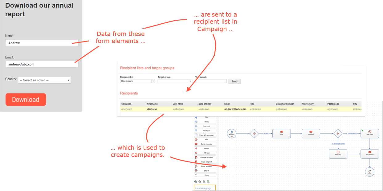 collect visitor data and pass that on to Optimizely Campaign