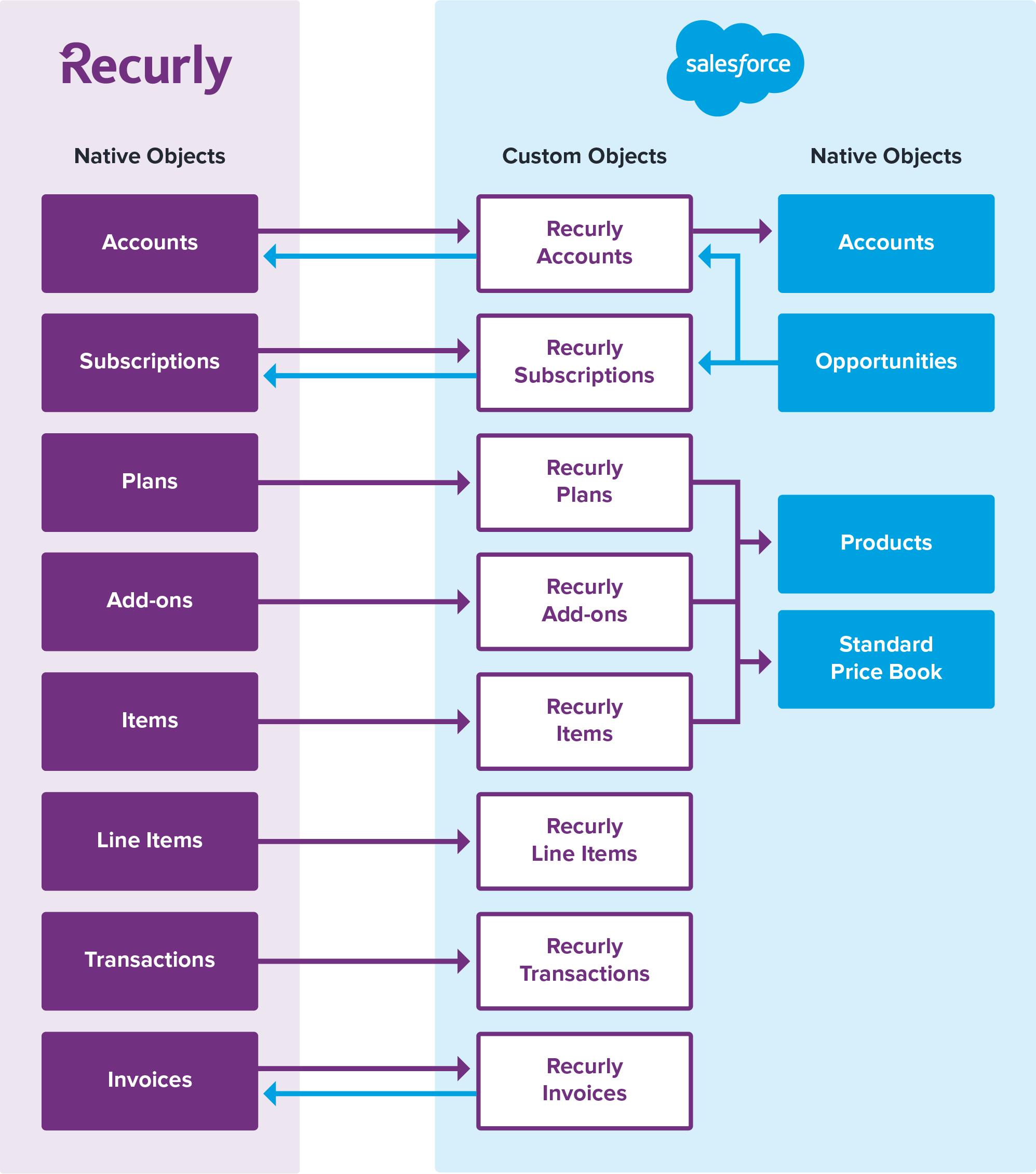 Recurly for Salesforce data model