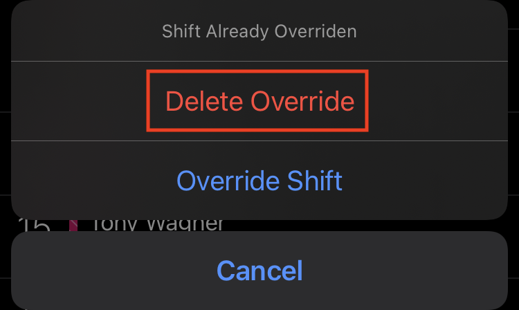 Delete override