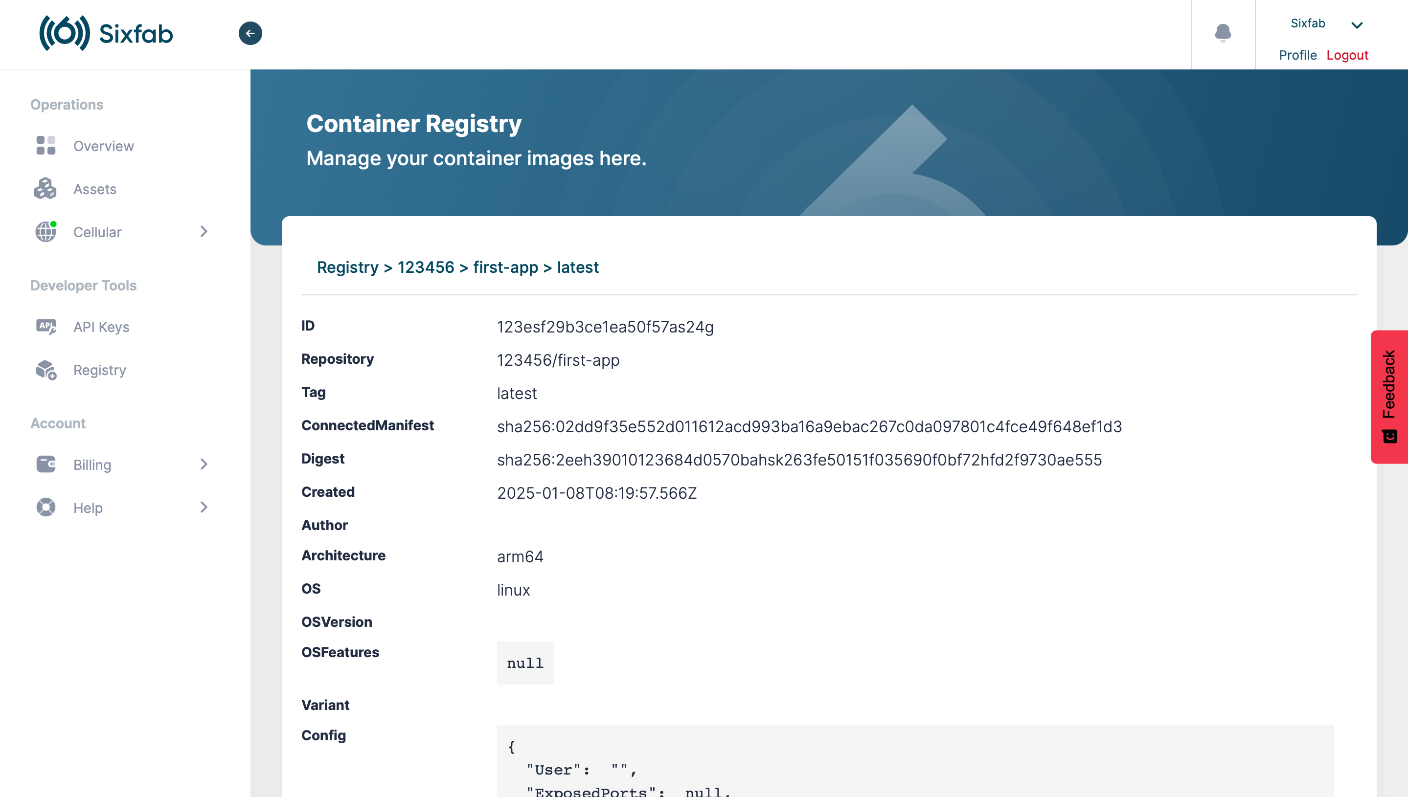 Full image manifest with architecture, OS, config, and layer digests