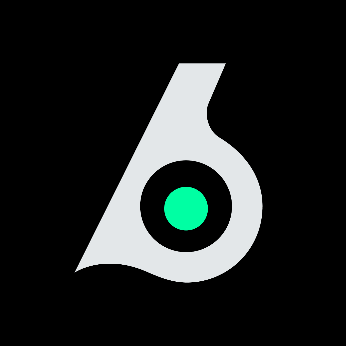 Birdeye Data Documentation