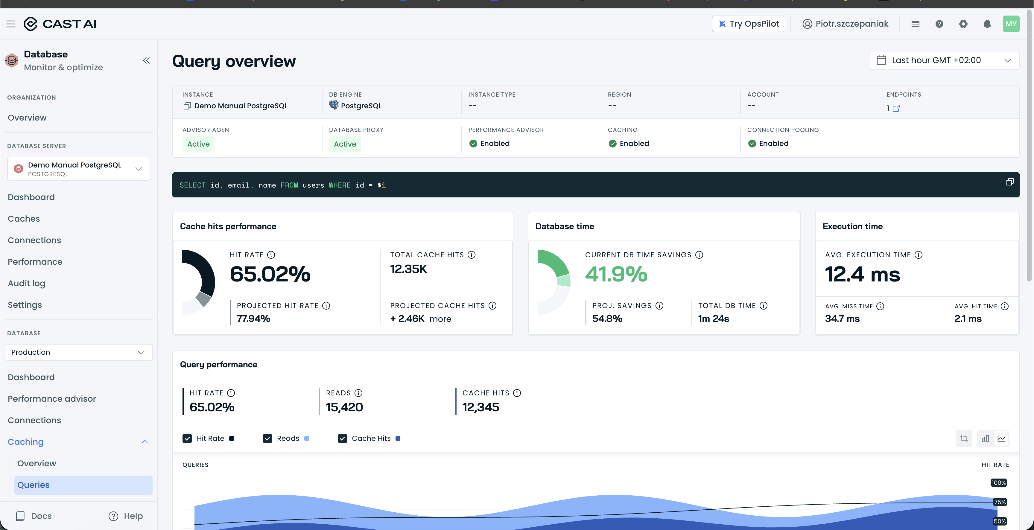 Query overview page with the SQL template block, the Cache hits performance, Database time, and Execution time cards, and the Query performance chart