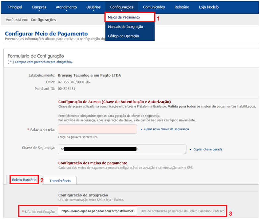 Visual da tela Gerenciador de API