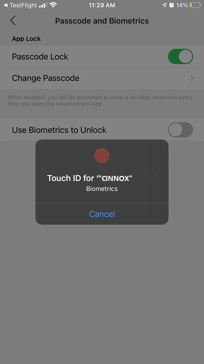 Sample prompt in an iOS device to use Touch ID