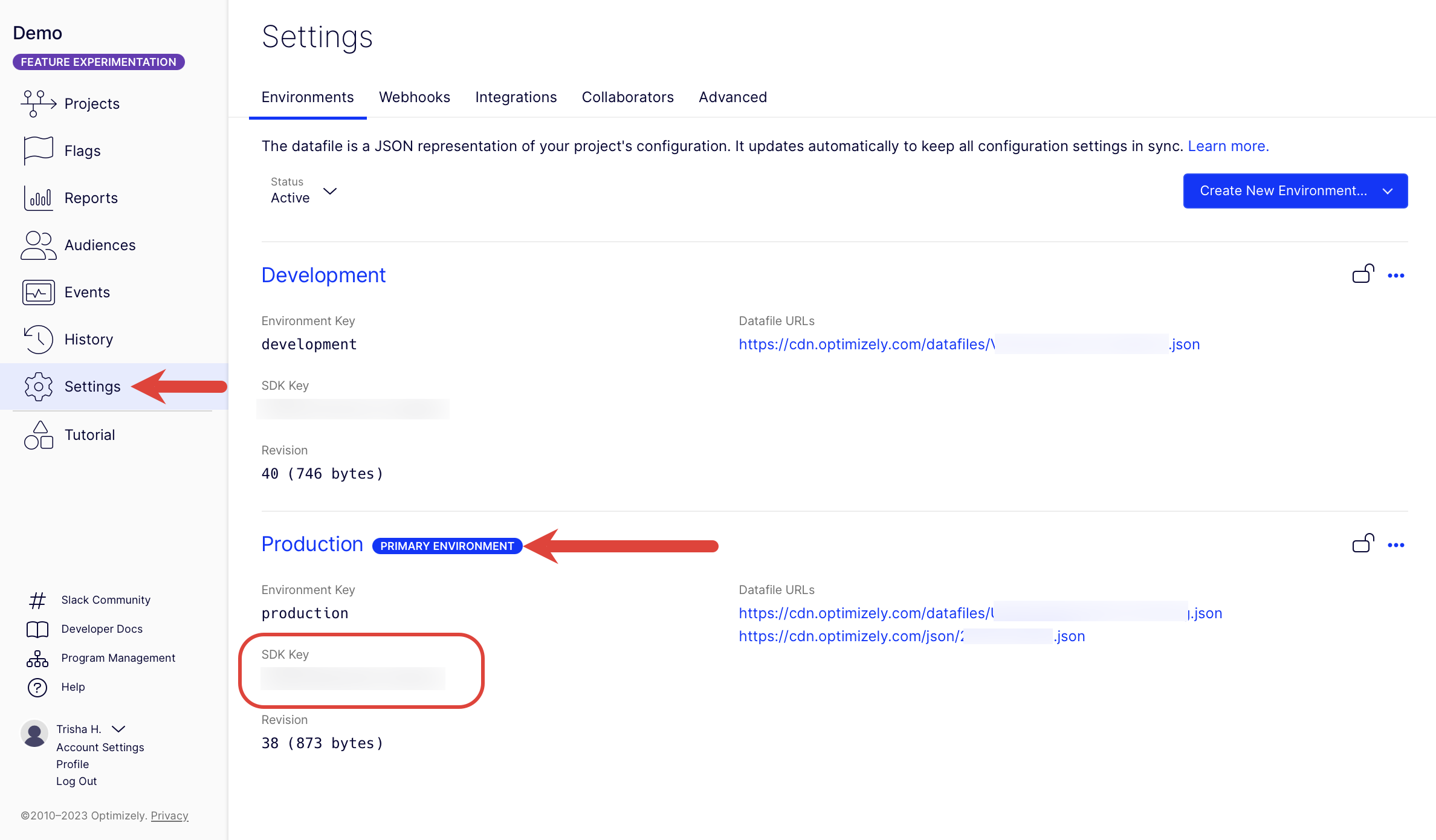 copy your SDK key from your primary environment