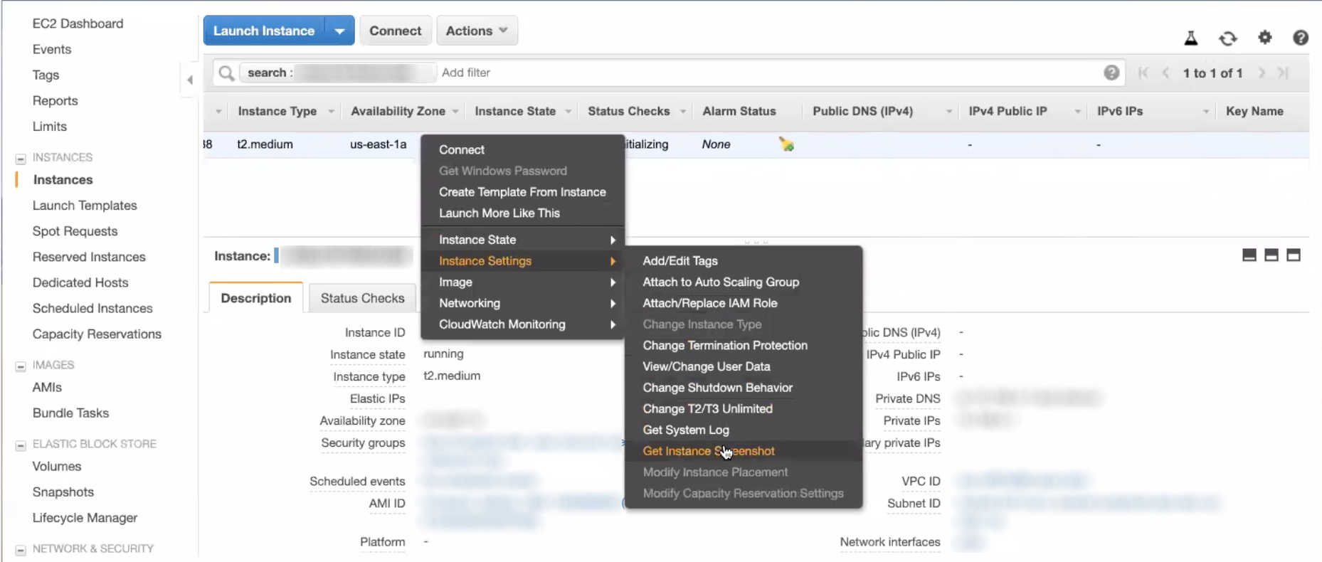 get instance details.png