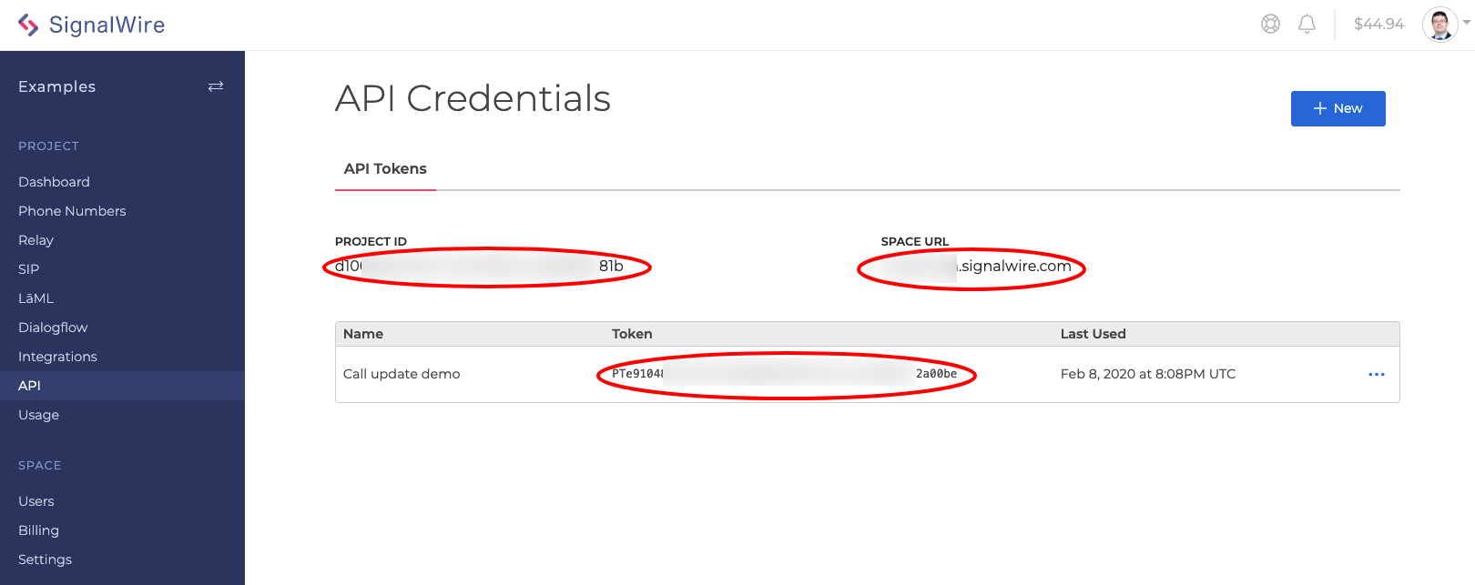 api_credentials.png