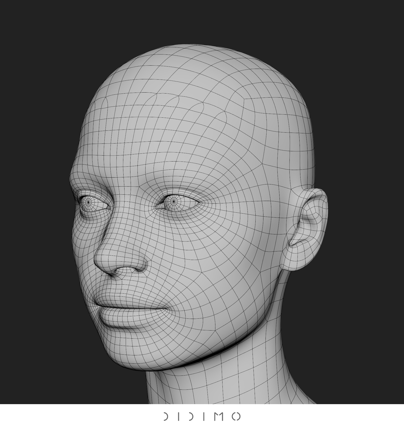 Wireframe_Square.jpg