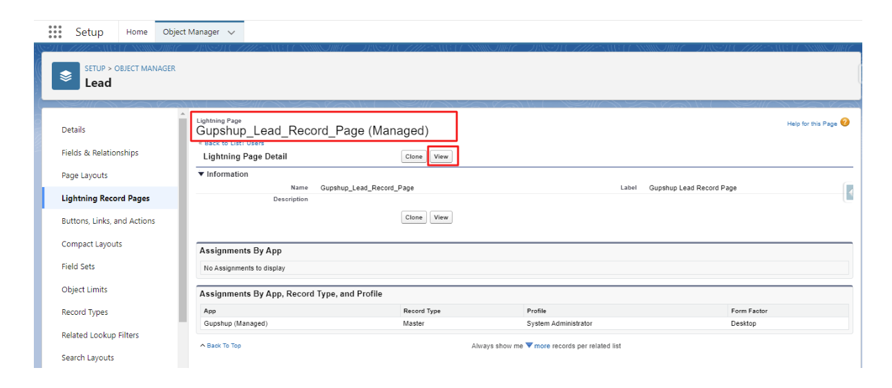 Lightning Record page detailed view