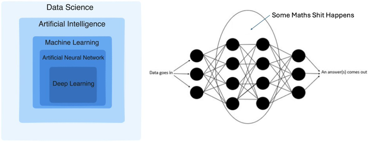 Category of AI and How Model Works