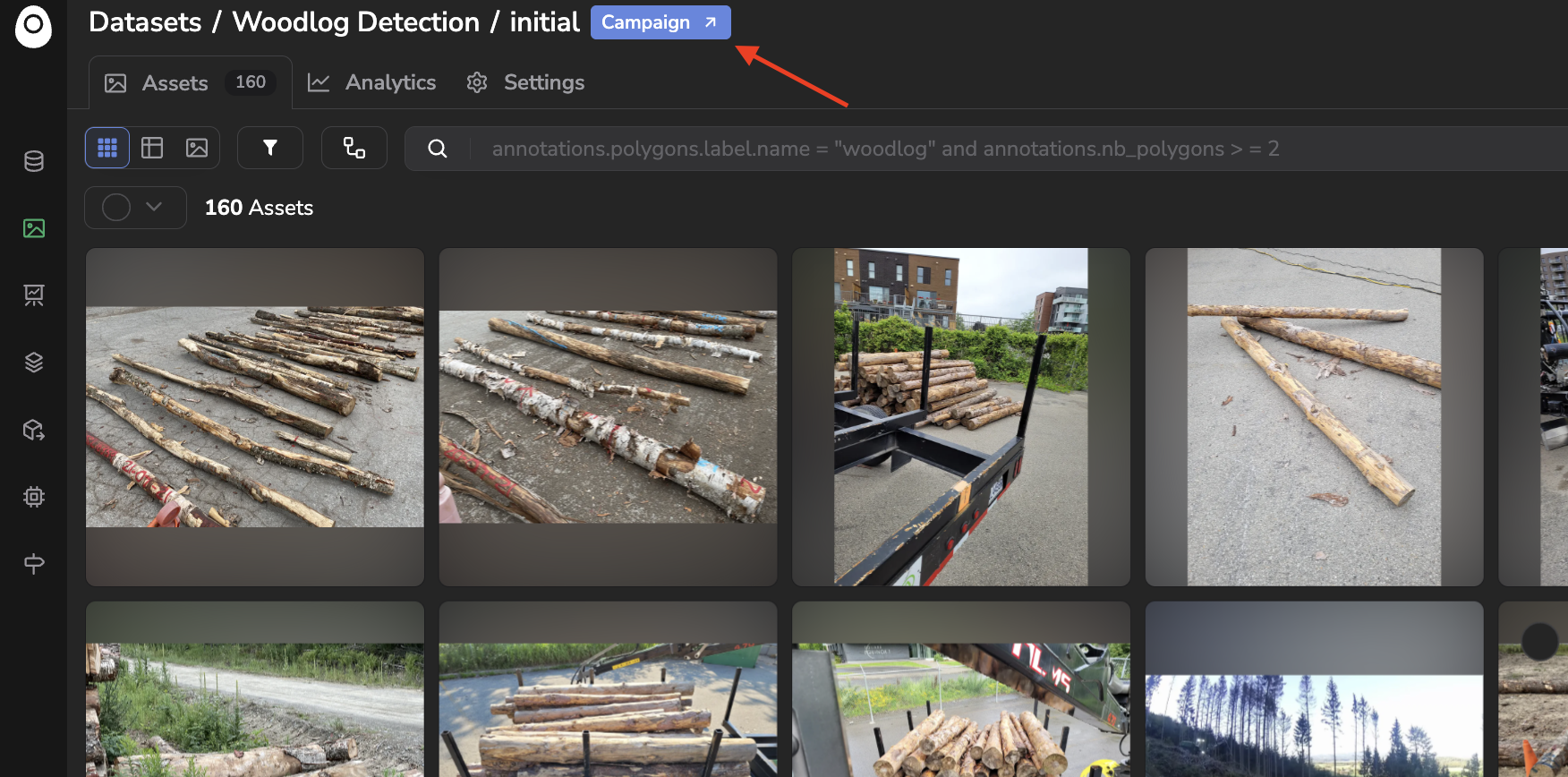 Access the Annotation Campaign from its related `DatasetVersion`