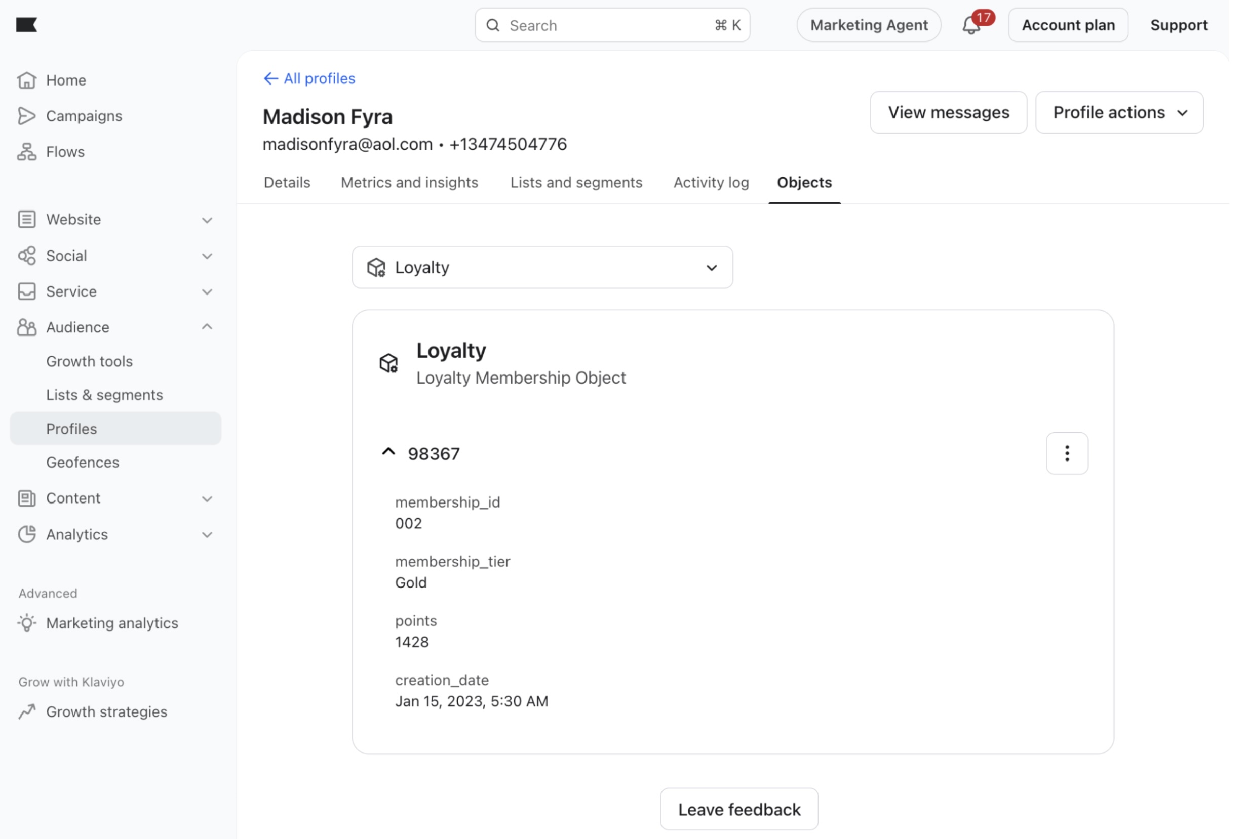 Object appearing on a customer profile after app installation and data ingestion