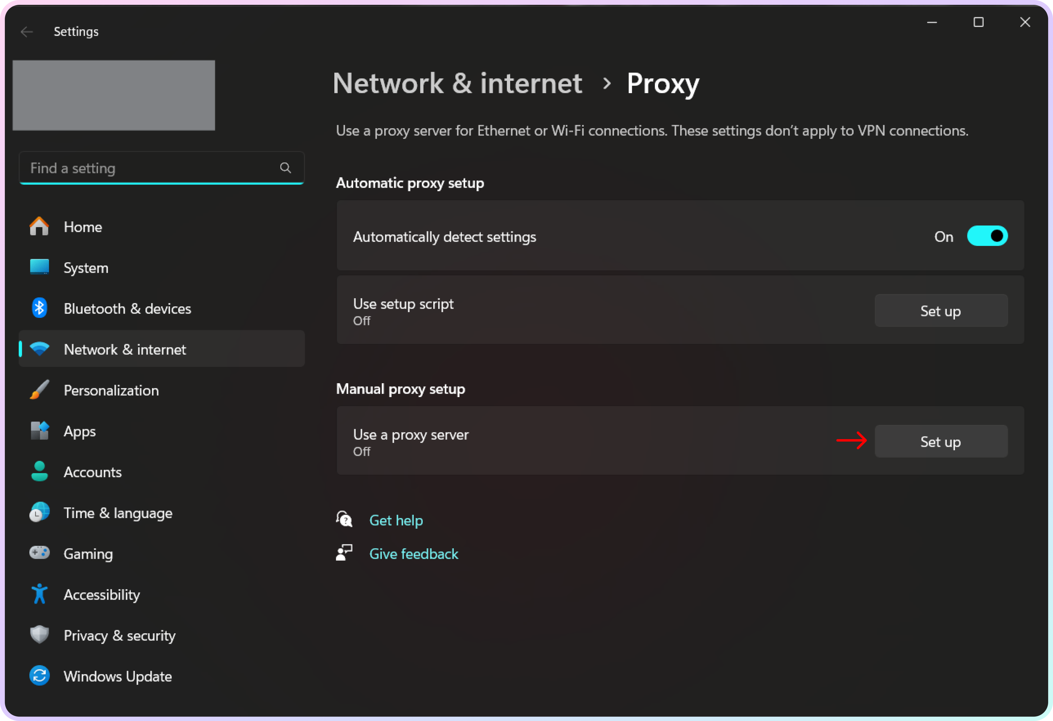 The manual proxy setup section