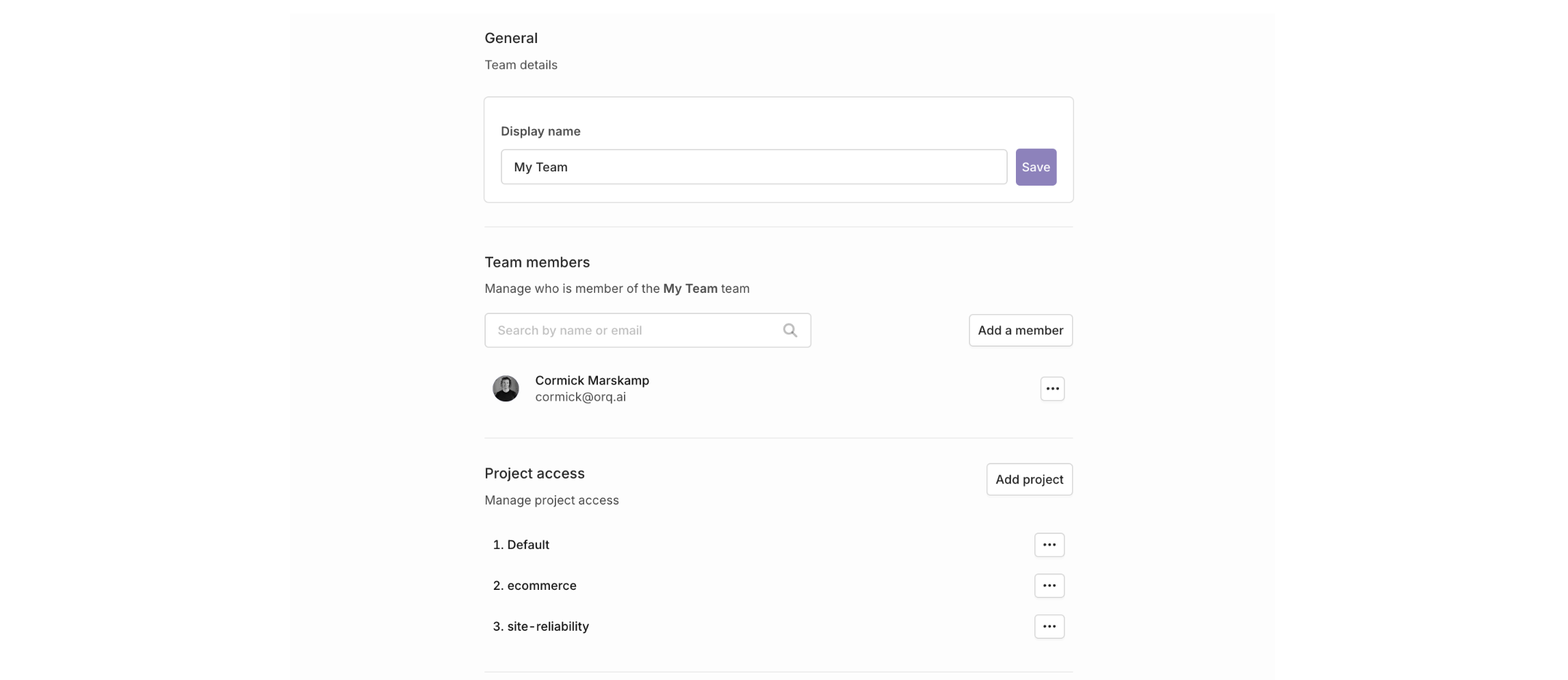 Your team configuration screen, where you can add members or configure project access.