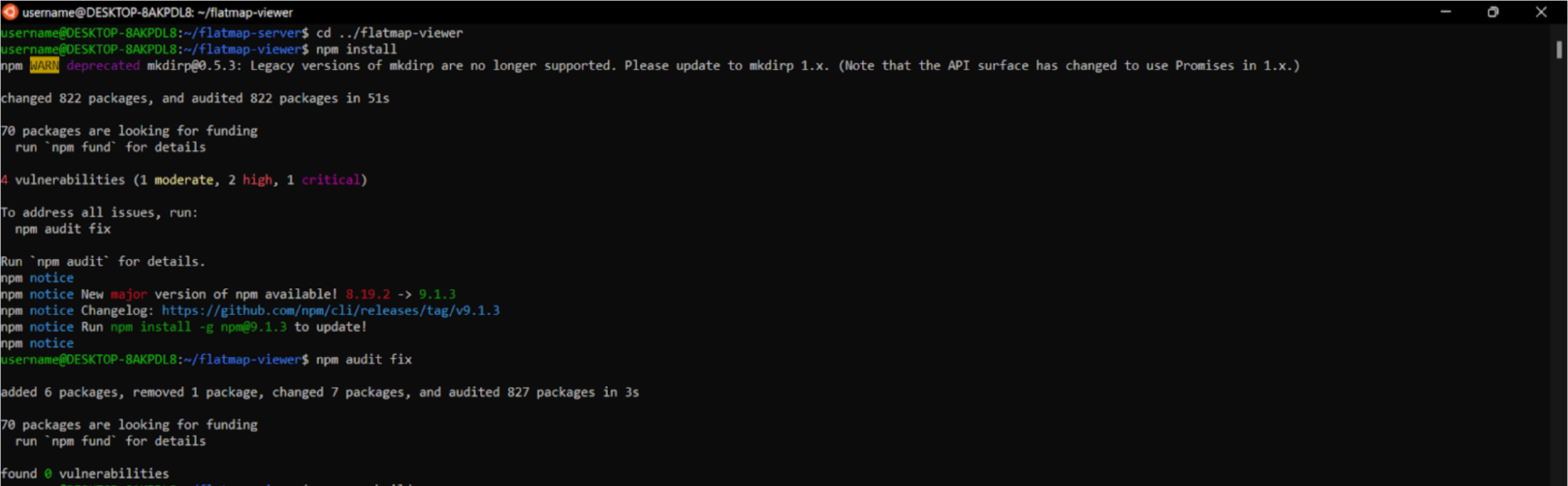 Figure 11: Installing npm. Note that the output mentions 4 vulnerabilities, which can be addressed via **npm audit**.