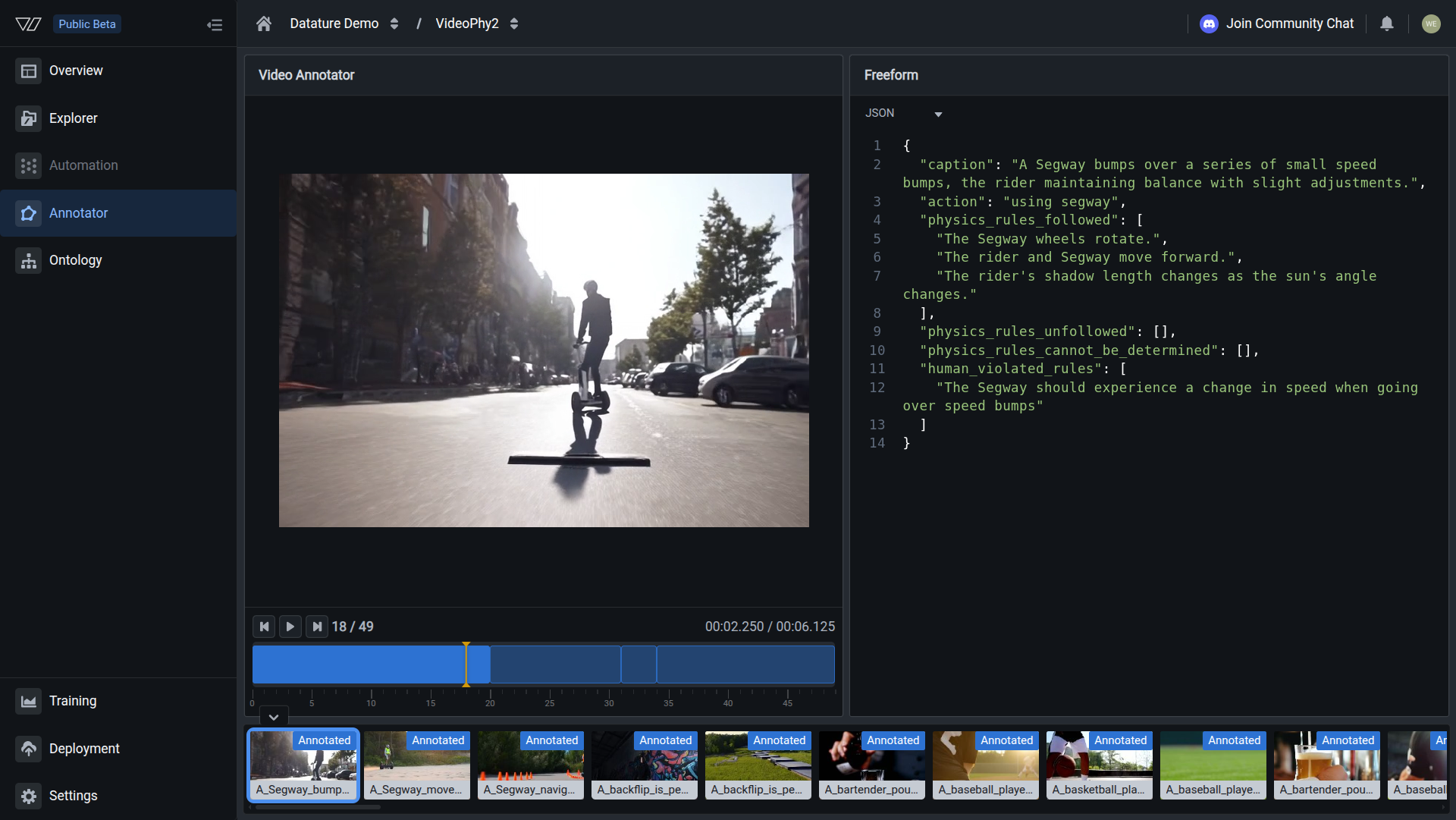 Dataset Overview showing video and annotation count