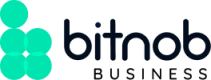Bitnob API Documentation