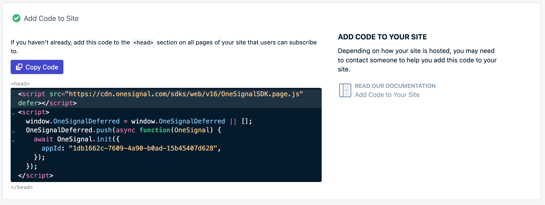 Copy the code provided in your OneSignal dashboard.