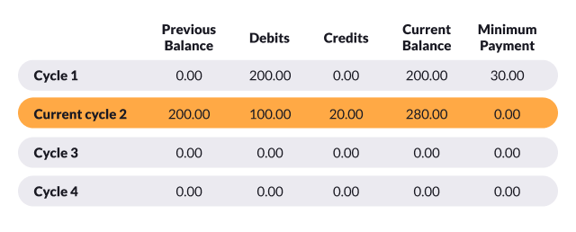 Credit cycle balance statement. 