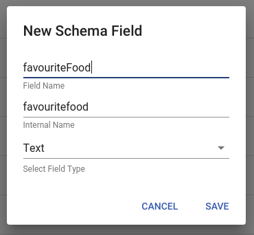 Figure 2: Creation of a Text Schema Field