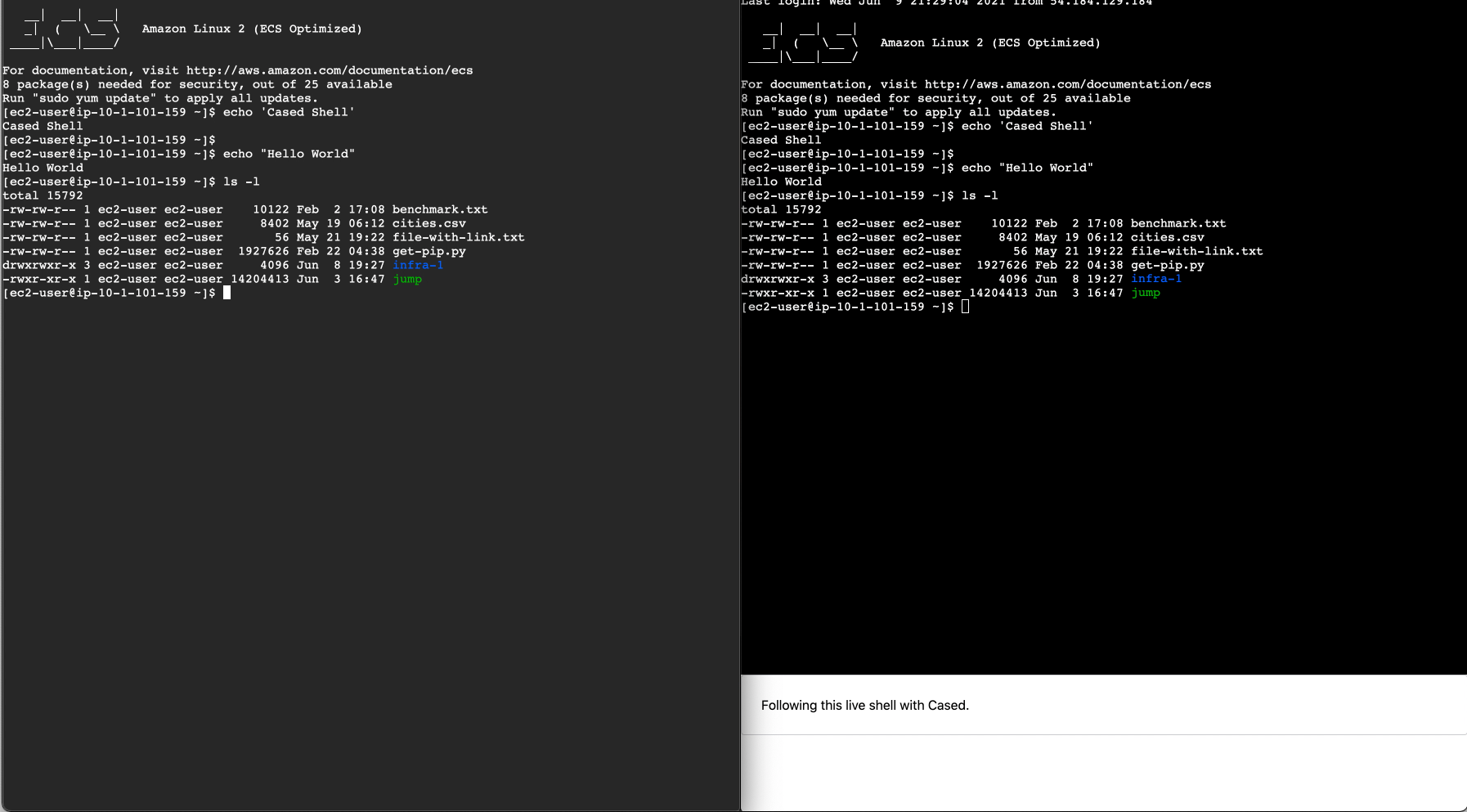 Screen Shot 2021-06-09 at 4.48.35 PM.png