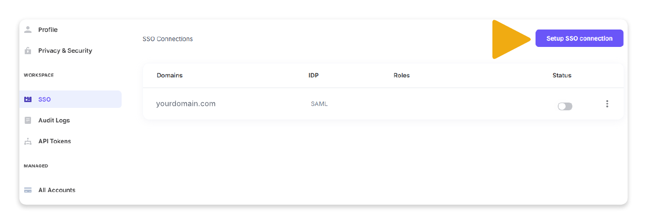Screenshot of the SSO section.