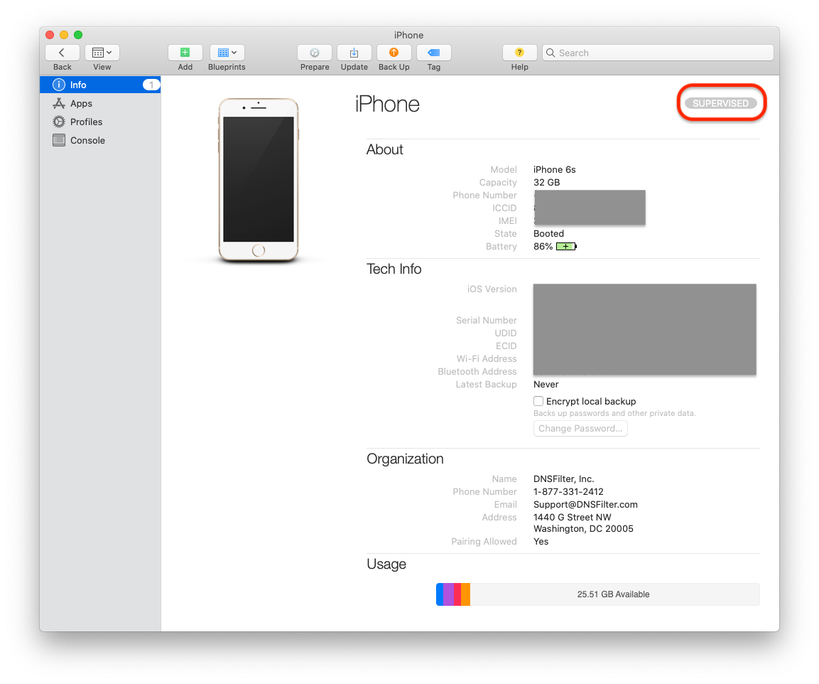 Apple05.png