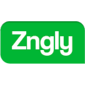 Zngly logo