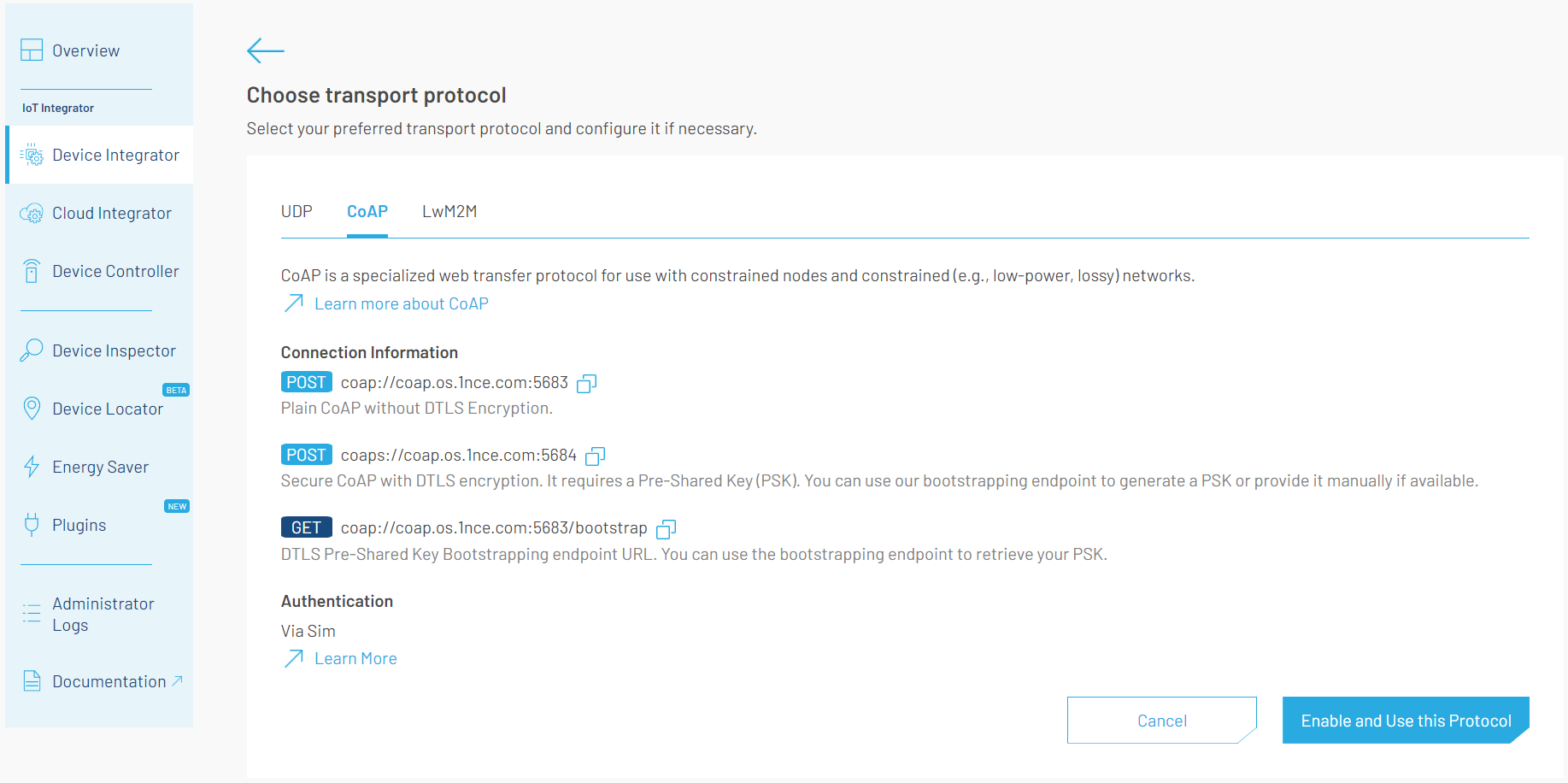 CoAP Endpoints Details