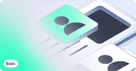 Verification Flow Basic