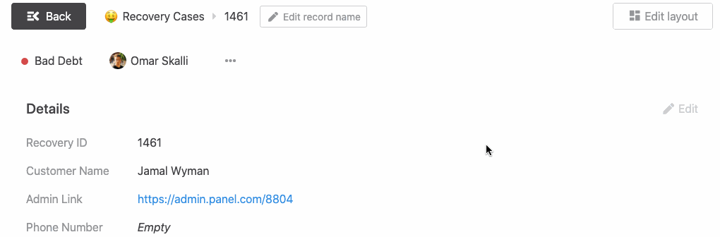 show-hide-detail-fields.gif