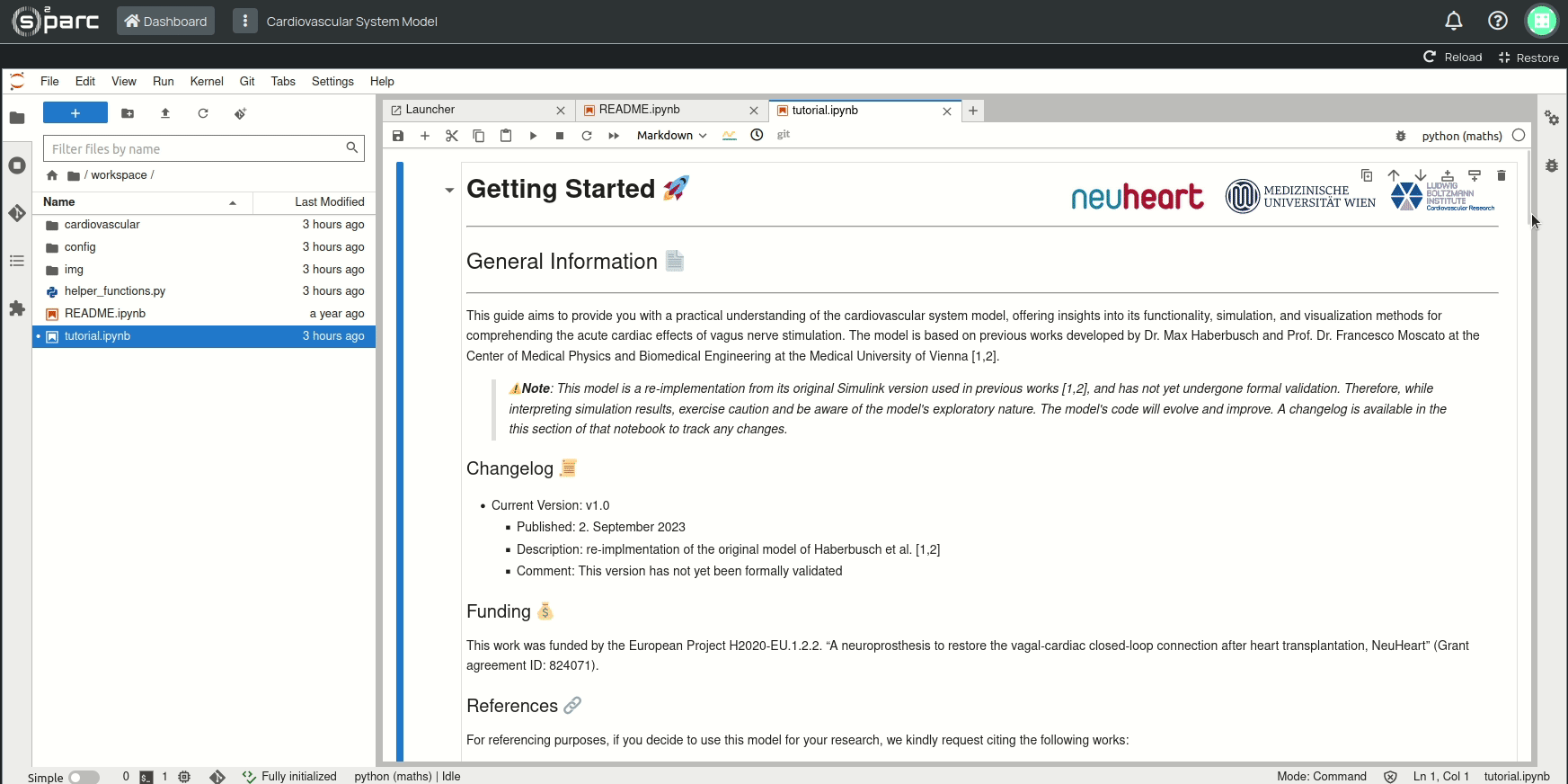 Figure 3: Jupyter Notebook with documentation and code to execute