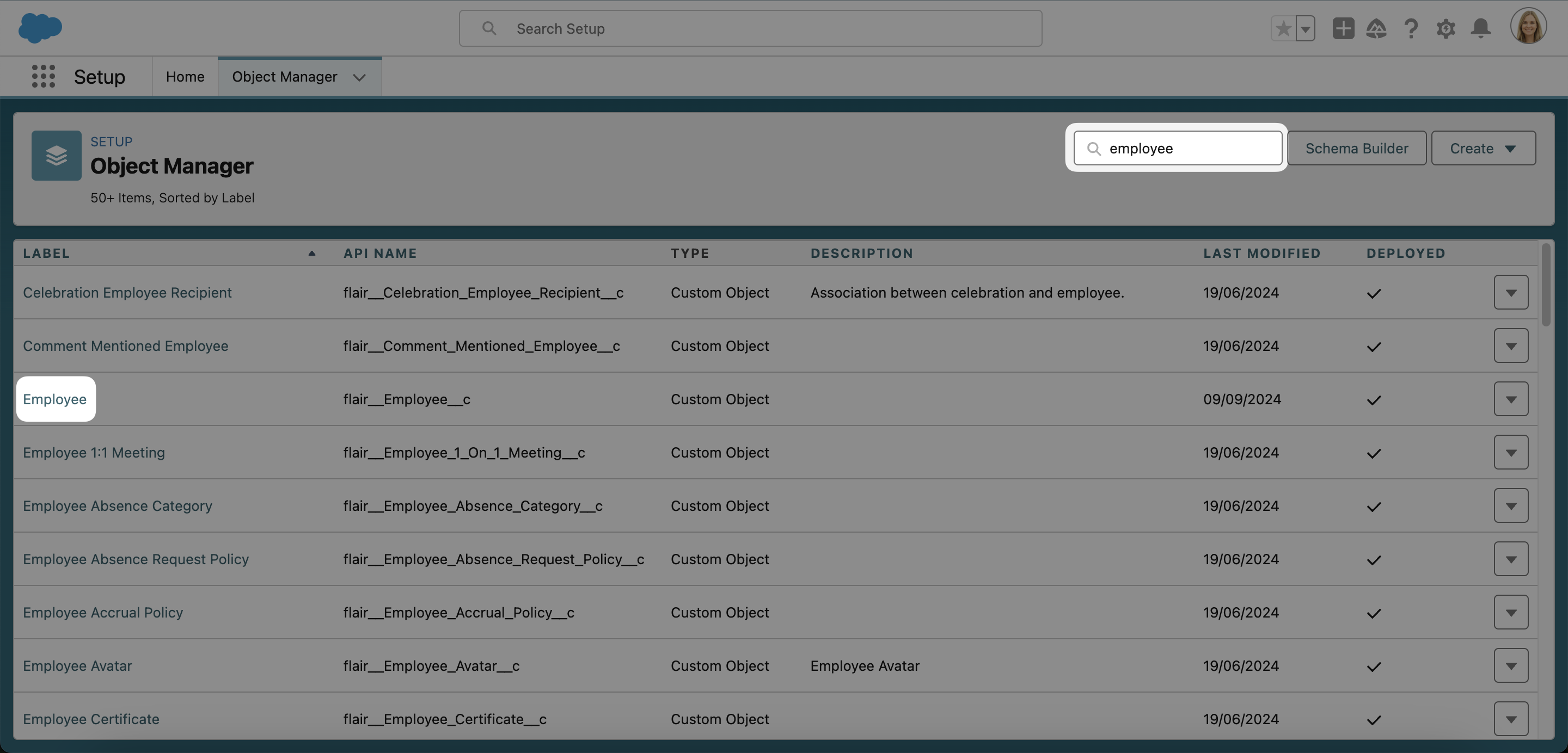 Find the Employee custom object in Object Manager