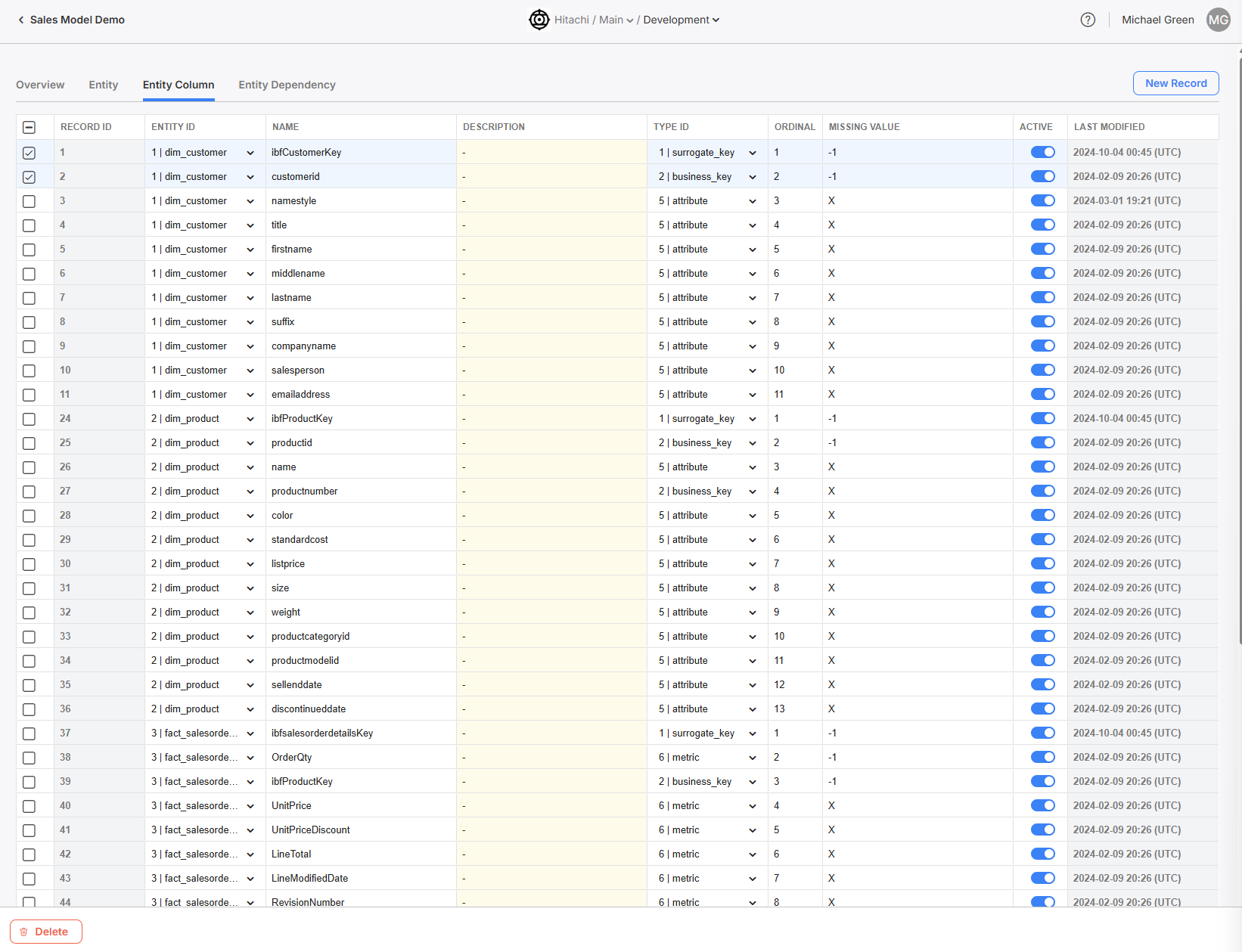 The Entity Column table, where you can view all entity columns across all entities within this model.