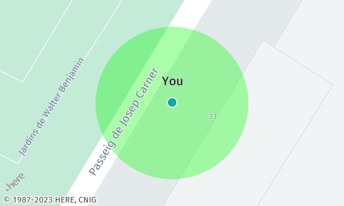 Proximity circle in HERE Map Image API