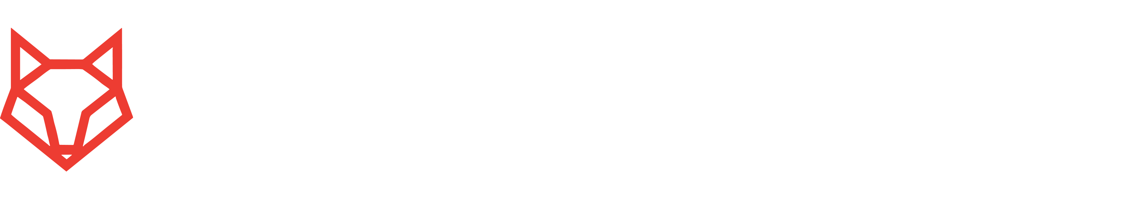 RedFox Pay