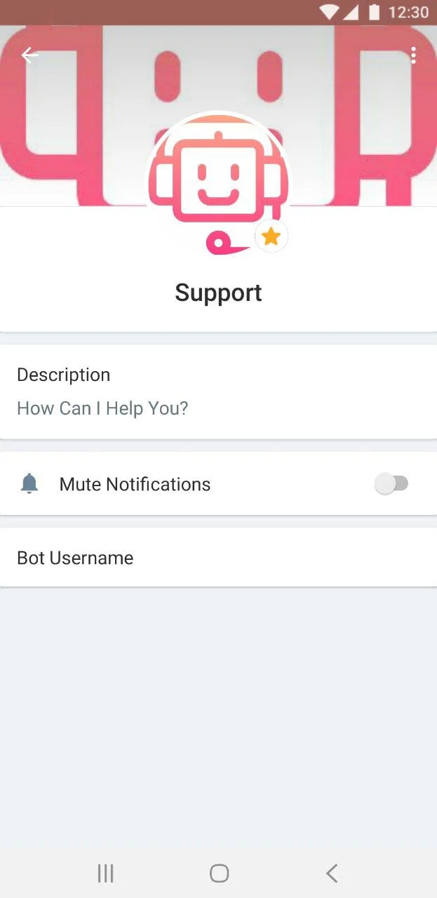 chatbot support